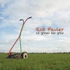 Zo groen als gras
